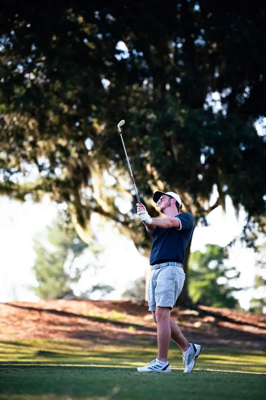 Golfer completing a swing beneath a spreading tree on a sunlit golf course